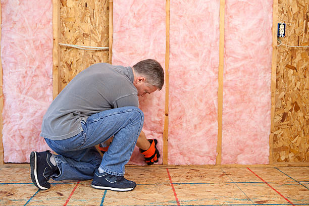 Best Spray Foam Insulation in Ash Flat, AR